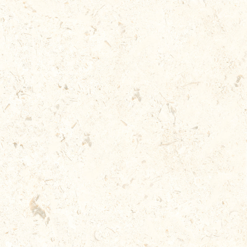 Desert Porcelain Paving